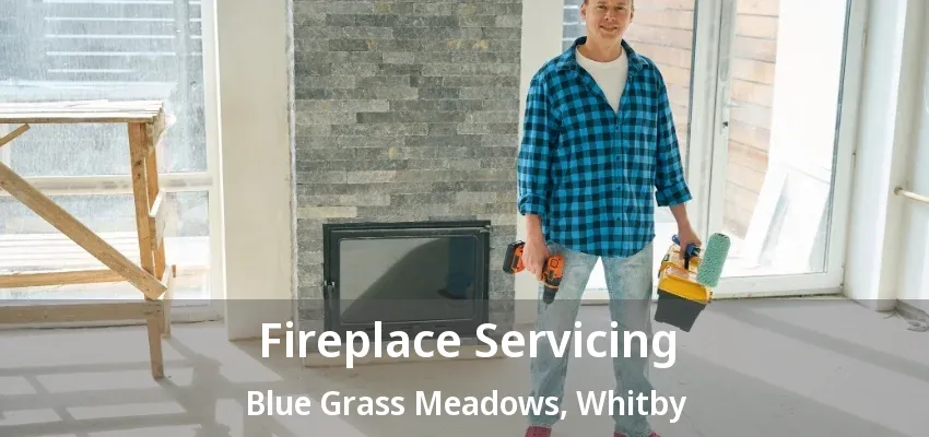 Fireplace Servicing Blue Grass Meadows, Whitby - ON Fireplace Servicing Blue Grass Meadows, Whitby - ON