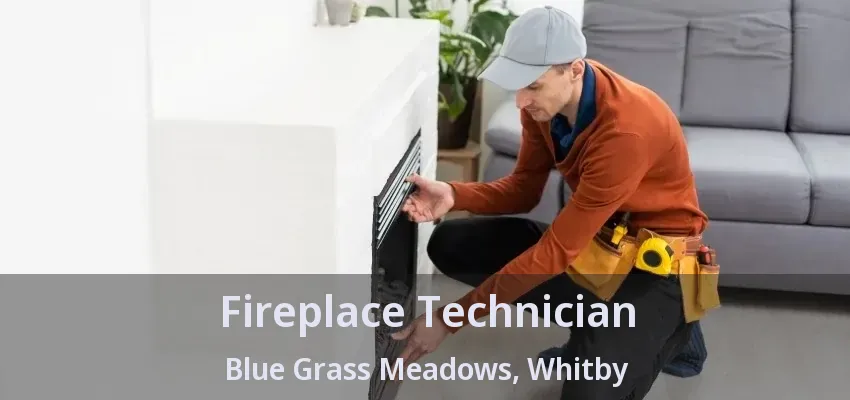 Fireplace Technician Blue Grass Meadows, Whitby - ON Fireplace Technician Blue Grass Meadows, Whitby - ON