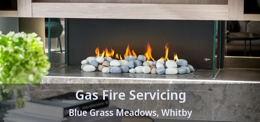 Gas Fire Servicing Blue Grass Meadows, Whitby - ON Gas Fire Servicing Blue Grass Meadows, Whitby - ON