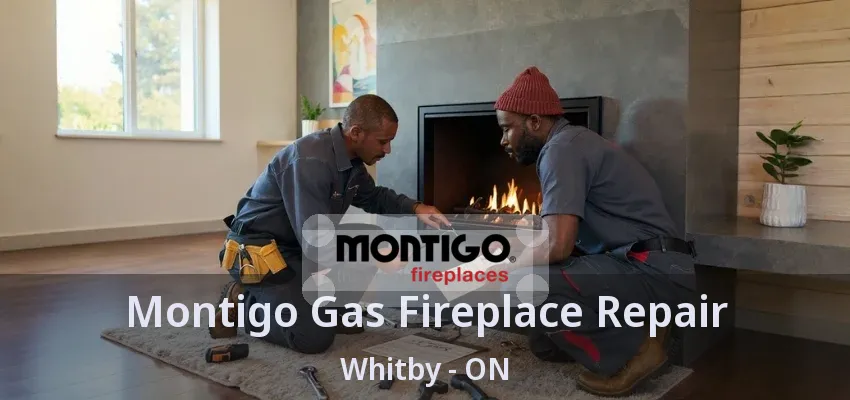 Montigo Gas Fireplace Repair Whitby - ON