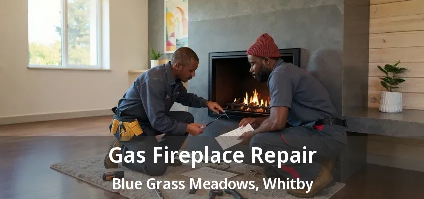 Gas Fireplace Repair Blue Grass Meadows, Whitby - ON Gas Fireplace Repair Blue Grass Meadows, Whitby - ON