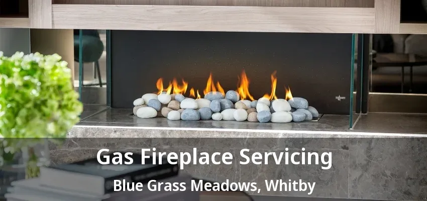 Gas Fireplace Servicing Blue Grass Meadows, Whitby - ON