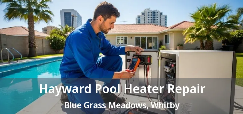 Hayward Pool Heater Repair Blue Grass Meadows, Whitby - ON