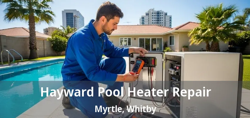 Hayward Pool Heater Repair Myrtle, Whitby - ON