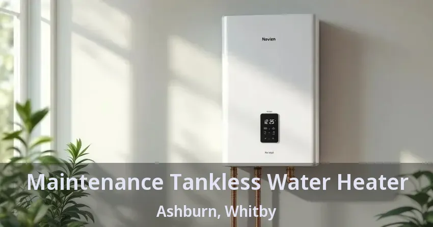 Maintenance Tankless Water Heater Ashburn, Whitby - ON Maintenance Tankless Water Heater Ashburn, Whitby - ON