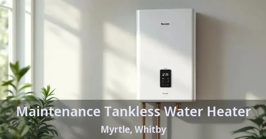Maintenance Tankless Water Heater Myrtle, Whitby - ON Maintenance Tankless Water Heater Myrtle, Whitby - ON