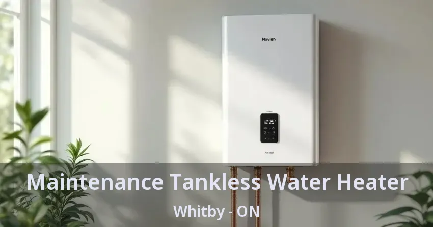 Maintenance Tankless Water Heater Whitby - ON Maintenance Tankless Water Heater Whitby - ON