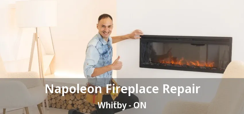 Napoleon Fireplace Repair Whitby - ON Napoleon Fireplace Repair Whitby - ON