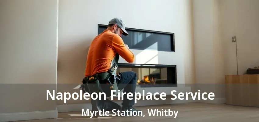 Napoleon Fireplace Service Myrtle Station, Whitby - ON Napoleon Fireplace Service Myrtle Station, Whitby - ON