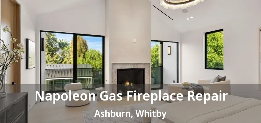 Napoleon Gas Fireplace Repair Ashburn, Whitby - ON Napoleon Gas Fireplace Repair Ashburn, Whitby - ON