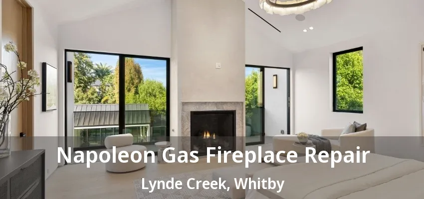 Napoleon Gas Fireplace Repair Lynde Creek, Whitby - ON
