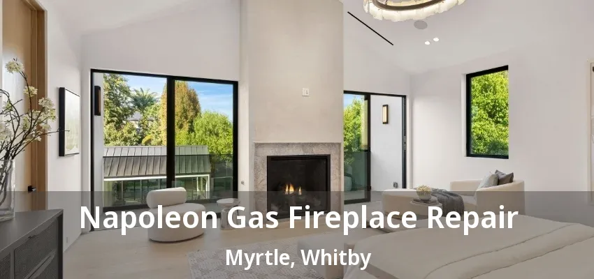 Napoleon Gas Fireplace Repair Myrtle, Whitby - ON