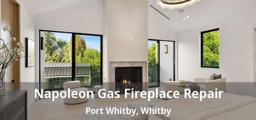 Napoleon Gas Fireplace Repair Port Whitby, Whitby - ON Napoleon Gas Fireplace Repair Port Whitby, Whitby - ON