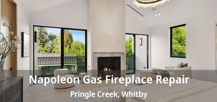 Napoleon Gas Fireplace Repair Pringle Creek, Whitby - ON
