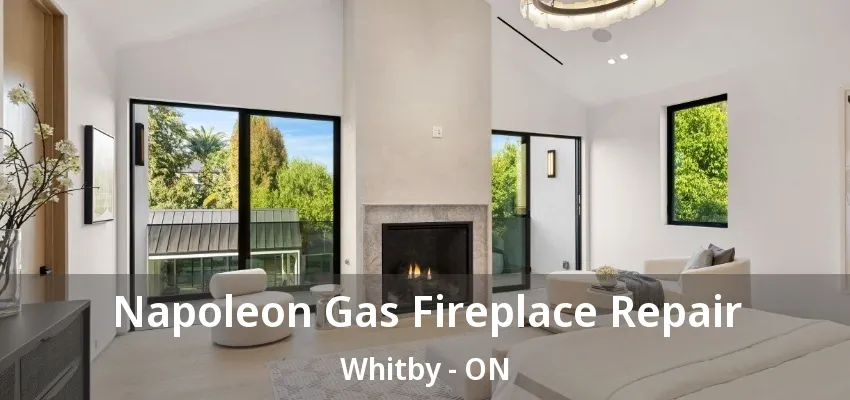 Napoleon Gas Fireplace Repair Whitby - ON Napoleon Gas Fireplace Repair Whitby - ON