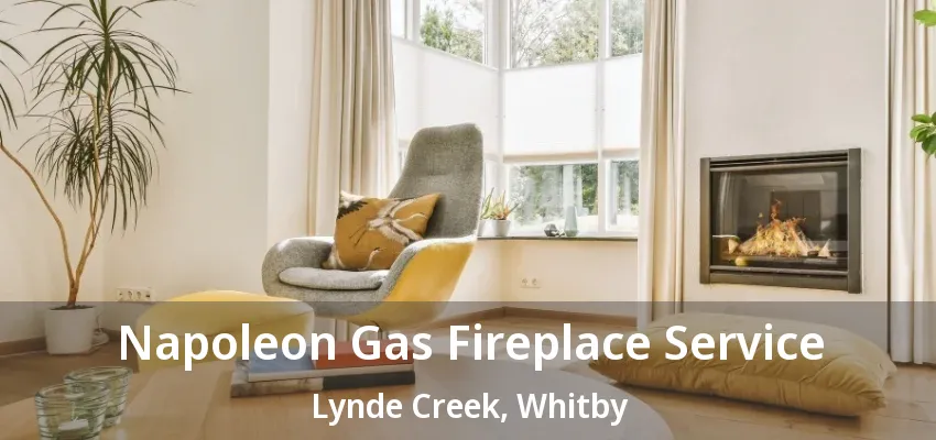 Napoleon Gas Fireplace Service Lynde Creek, Whitby - ON Napoleon Gas Fireplace Service Lynde Creek, Whitby - ON