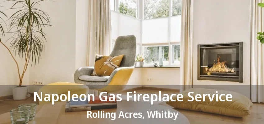 Napoleon Gas Fireplace Service Rolling Acres, Whitby - ON