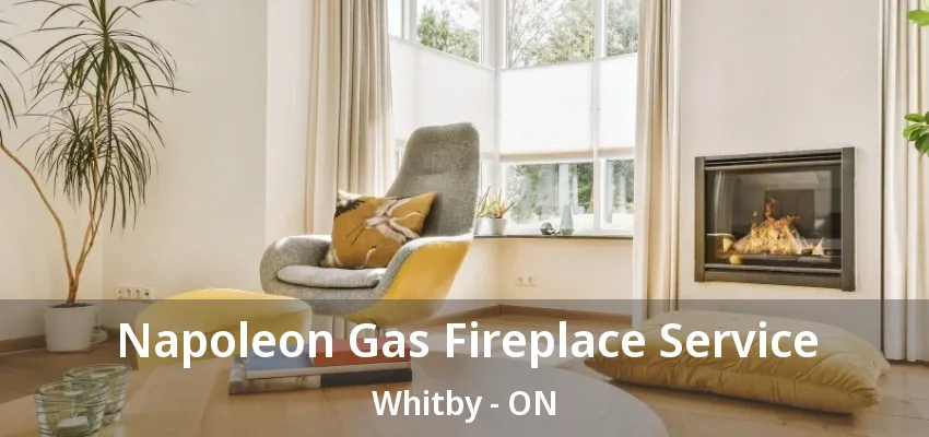 Napoleon Gas Fireplace Service Whitby - ON Napoleon Gas Fireplace Service Whitby - ON
