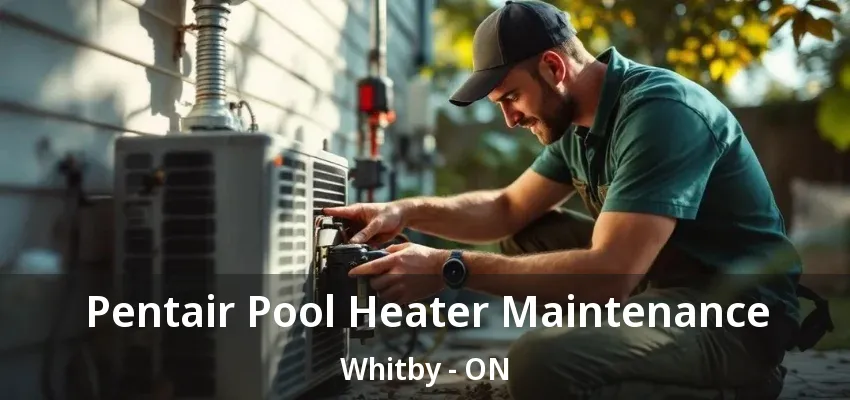 Pentair Pool Heater Maintenance Whitby - ON Pentair Pool Heater Maintenance Whitby - ON