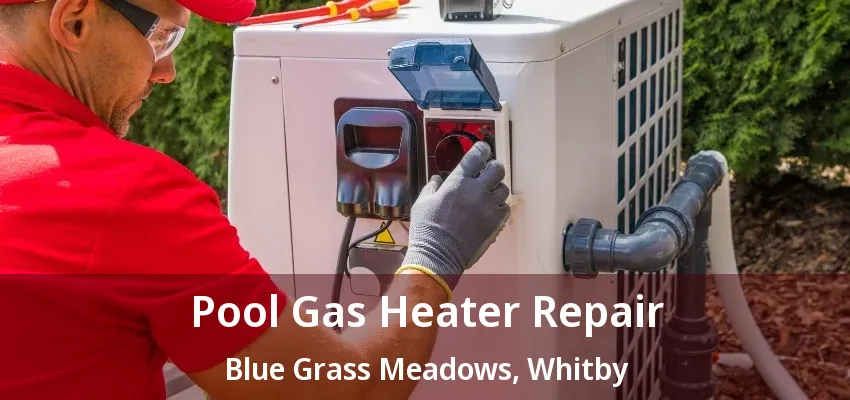 Pool Gas Heater Repair Blue Grass Meadows, Whitby - ON Pool Gas Heater Repair Blue Grass Meadows, Whitby - ON