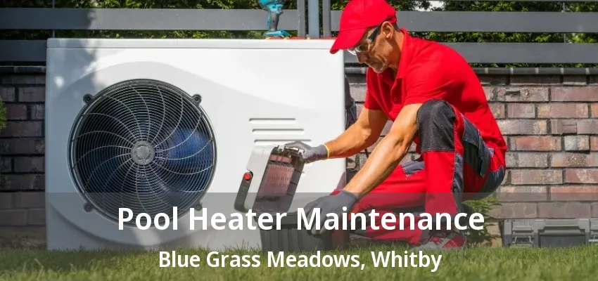 Pool Heater Maintenance Blue Grass Meadows, Whitby - ON