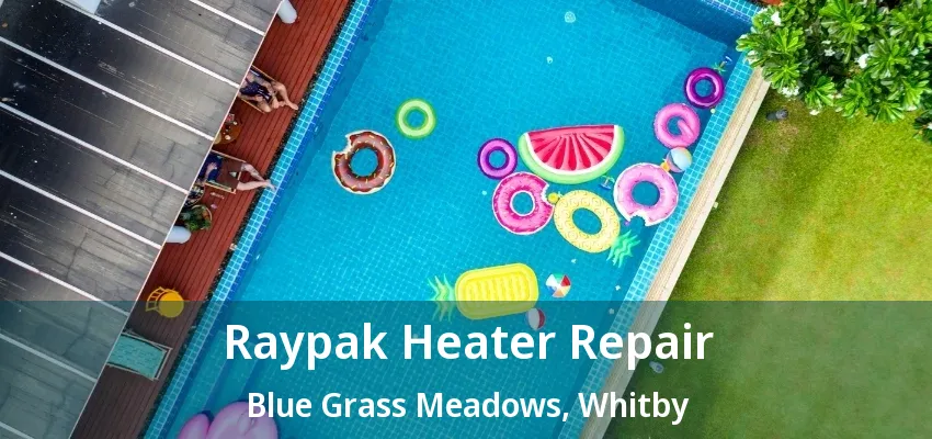 Raypak Heater Repair Blue Grass Meadows, Whitby - ON Raypak Heater Repair Blue Grass Meadows, Whitby - ON