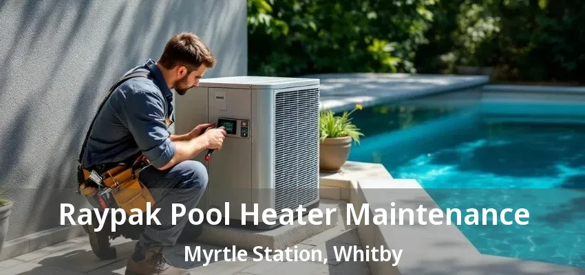 Raypak Pool Heater Maintenance Myrtle Station, Whitby - ON Raypak Pool Heater Maintenance Myrtle Station, Whitby - ON