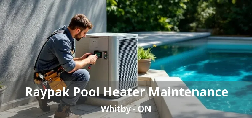 Raypak Pool Heater Maintenance Whitby - ON Raypak Pool Heater Maintenance Whitby - ON