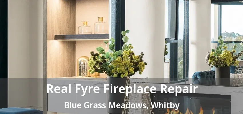 Real Fyre Fireplace Repair Blue Grass Meadows, Whitby - ON
