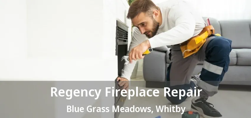 Regency Fireplace Repair Blue Grass Meadows, Whitby - ON Regency Fireplace Repair Blue Grass Meadows, Whitby - ON