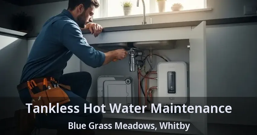 Tankless Hot Water Maintenance Blue Grass Meadows, Whitby - ON Tankless Hot Water Maintenance Blue Grass Meadows, Whitby - ON
