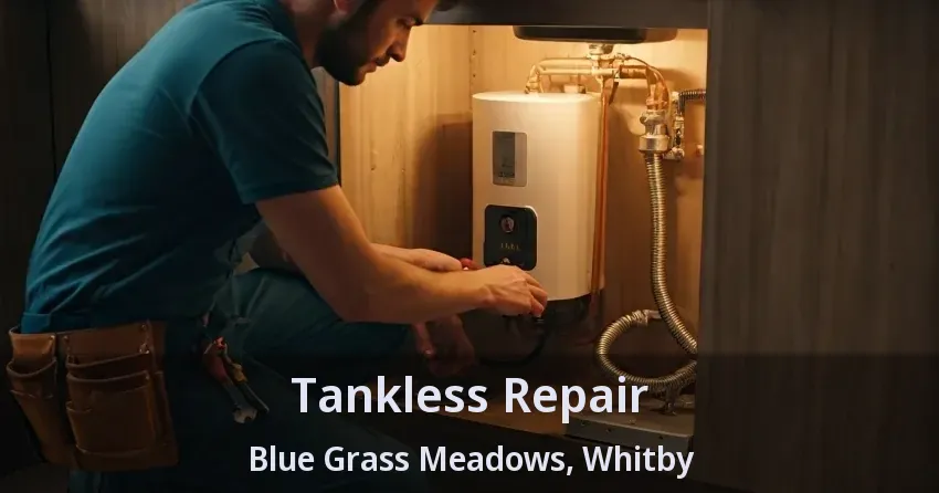Tankless Repair Blue Grass Meadows, Whitby - ON Tankless Repair Blue Grass Meadows, Whitby - ON