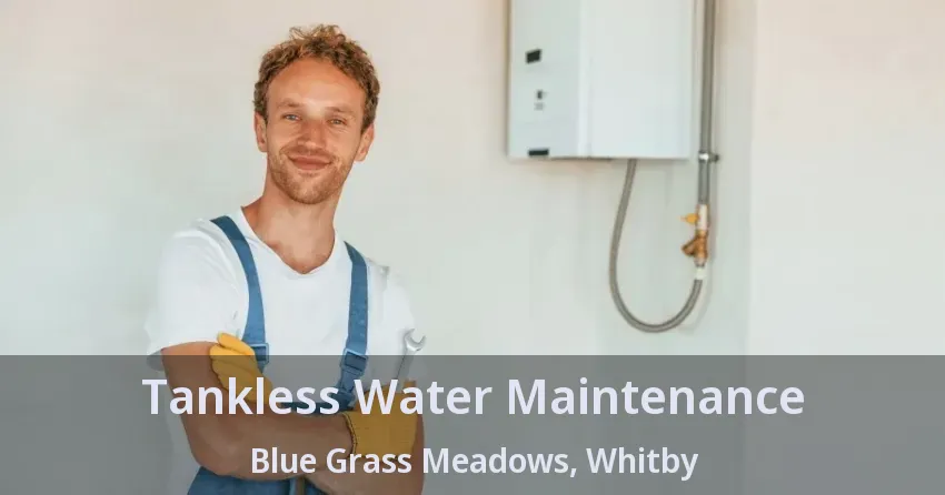 Tankless Water Maintenance Blue Grass Meadows, Whitby - ON