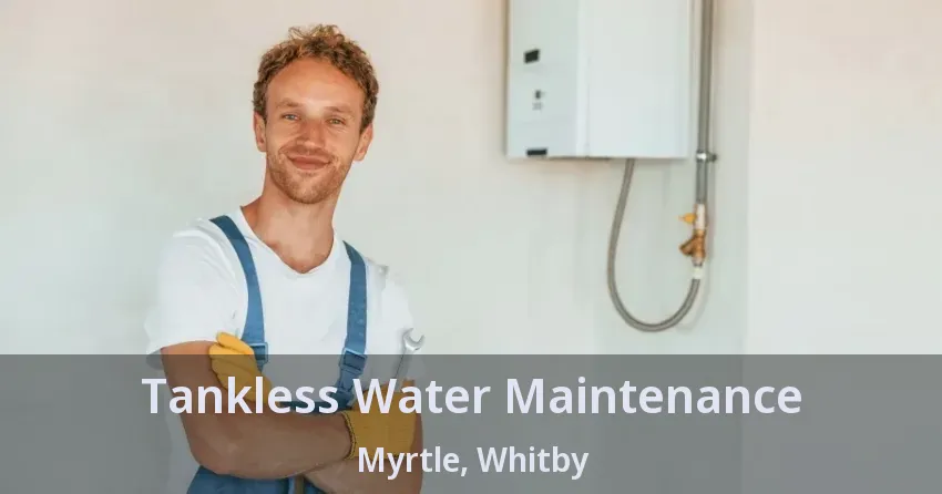 Tankless Water Maintenance Myrtle, Whitby - ON Tankless Water Maintenance Myrtle, Whitby - ON