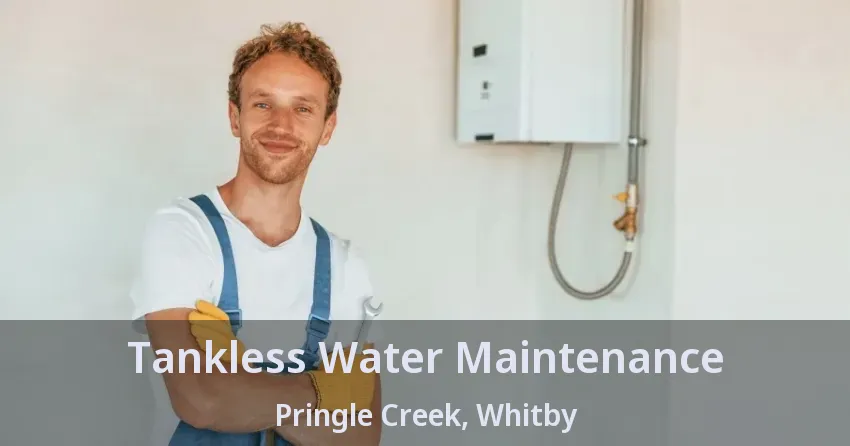 Tankless Water Maintenance Pringle Creek, Whitby - ON Tankless Water Maintenance Pringle Creek, Whitby - ON