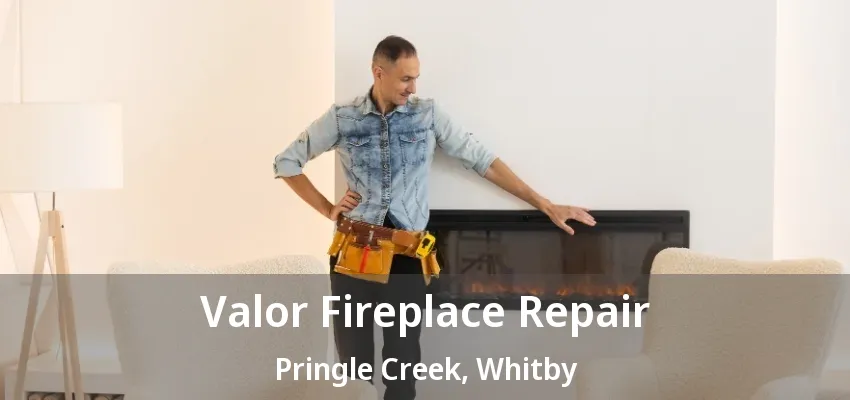 Valor Fireplace Repair Pringle Creek, Whitby - ON