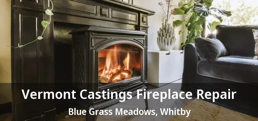 Vermont Castings Fireplace Repair Blue Grass Meadows, Whitby - ON Vermont Castings Fireplace Repair Blue Grass Meadows, Whitby - ON